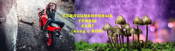 сатива Алзамай